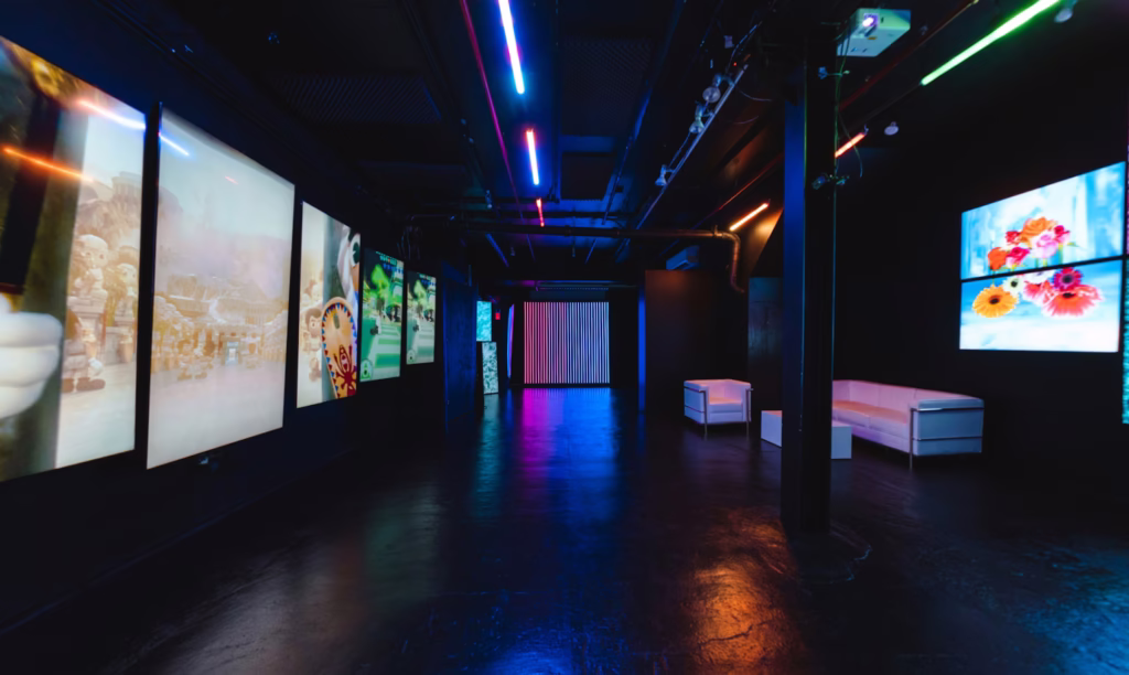 Blackout Studio - Image 3