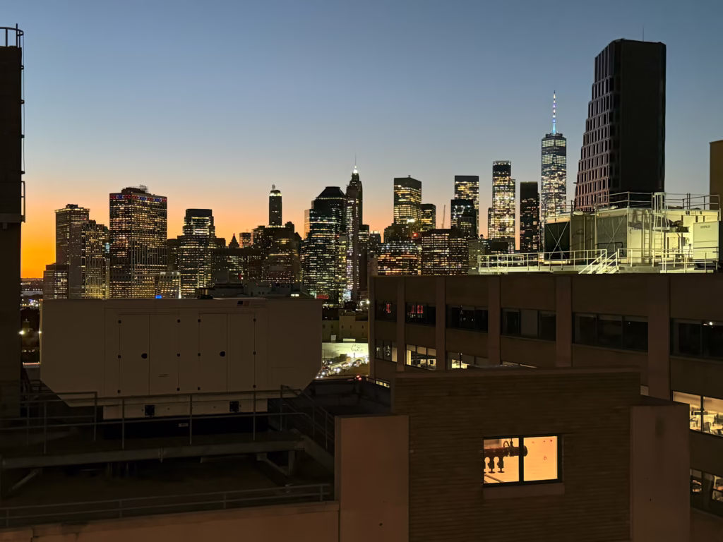 Dumbo Heights