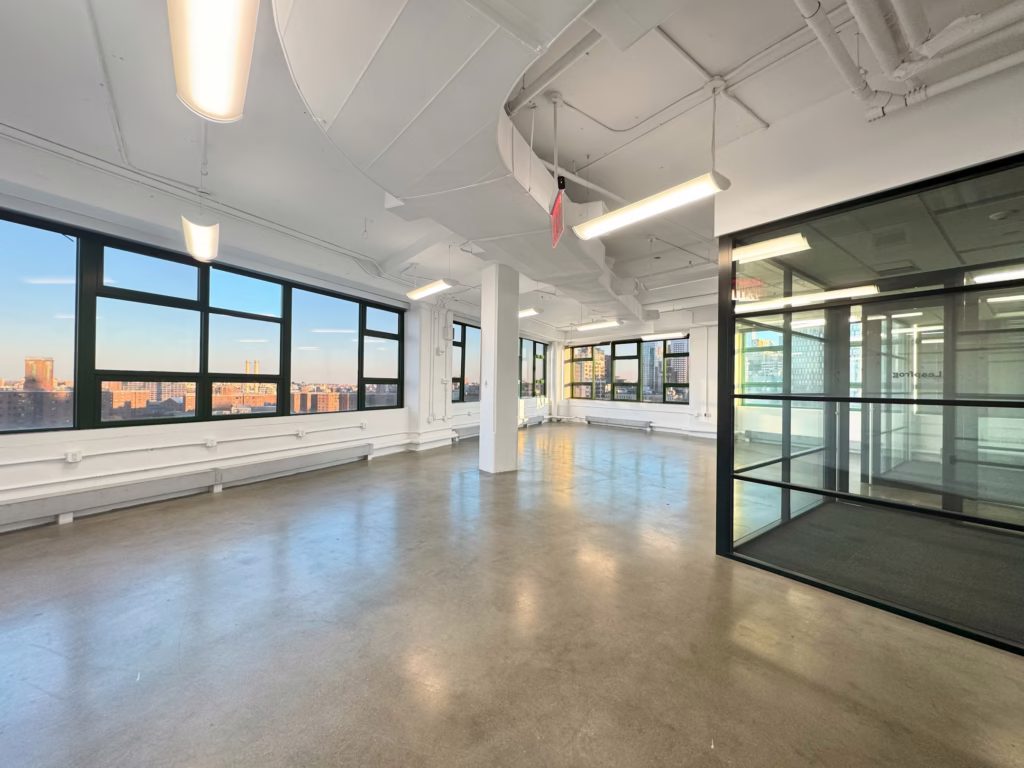 Dumbo Heights