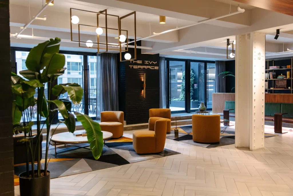 IVY Terrace