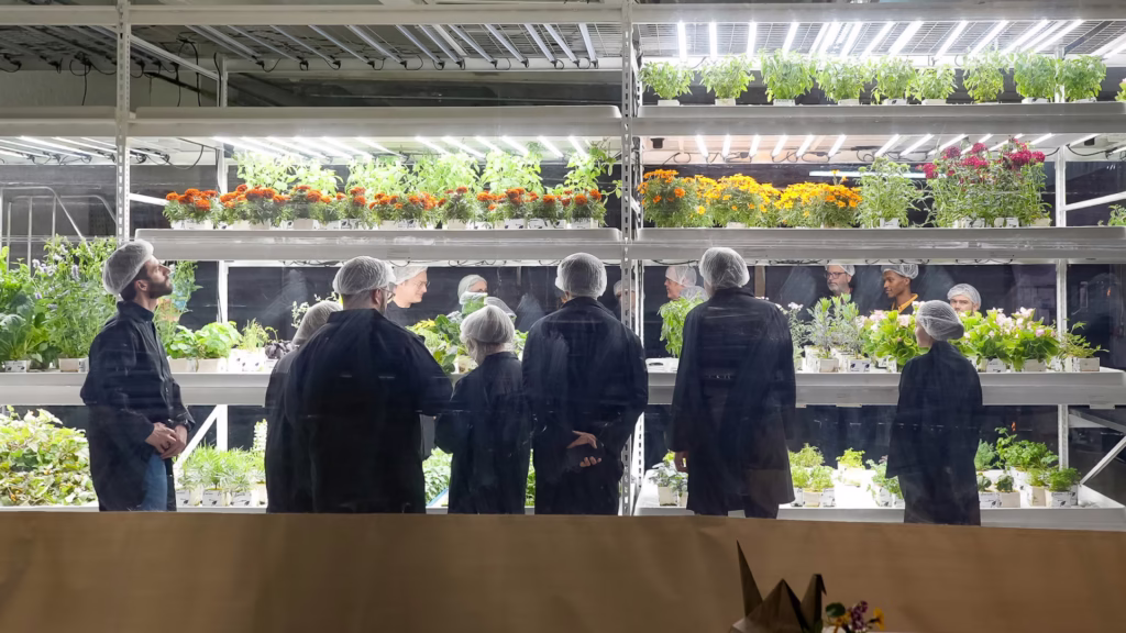 Farm.One Prospect Heights