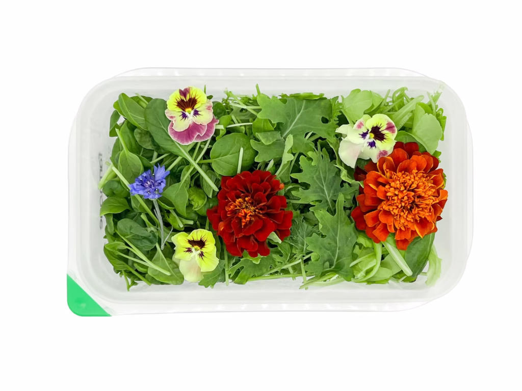 Farm.One Prospect Heights