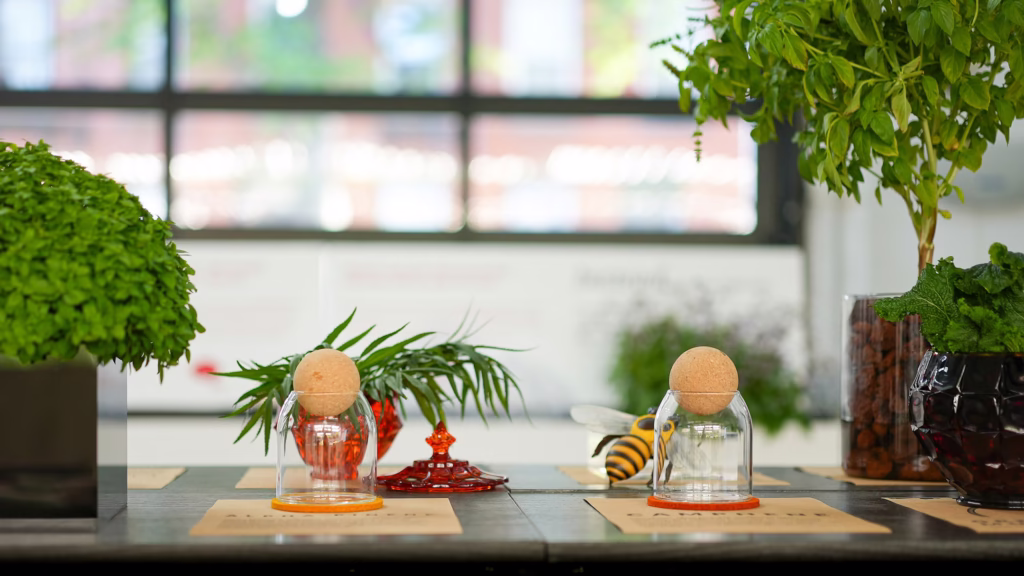 Farm.One Prospect Heights