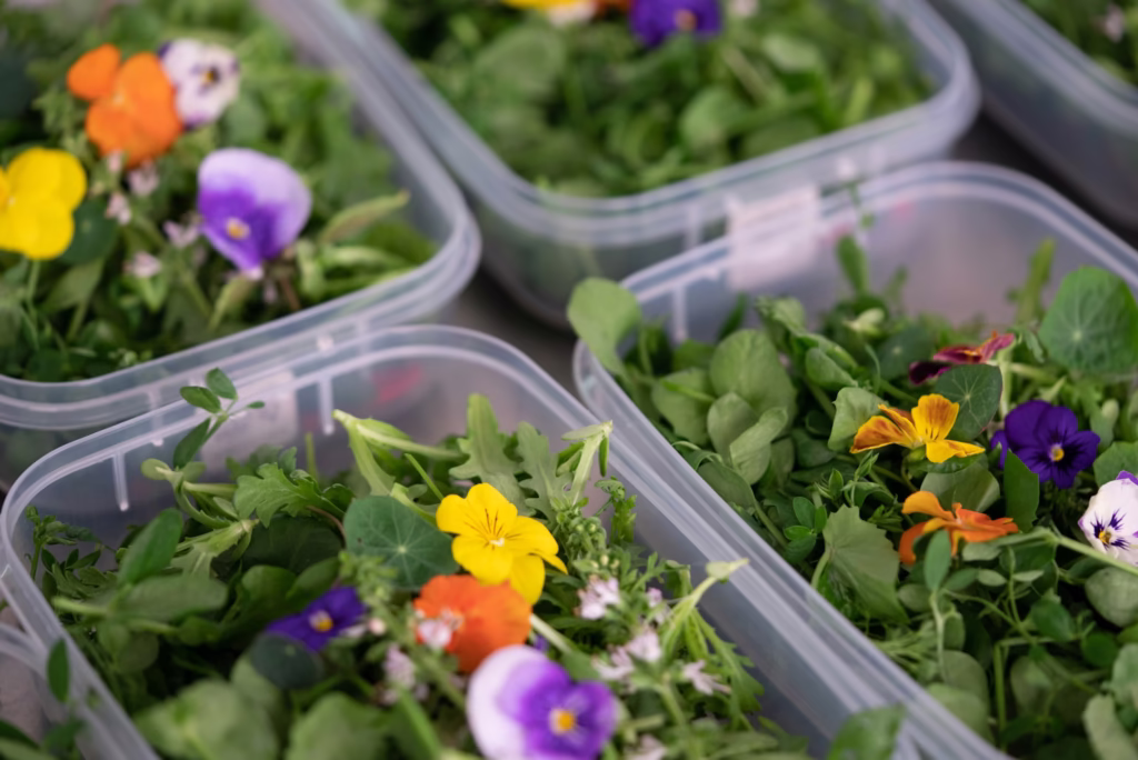 Farm.One Prospect Heights