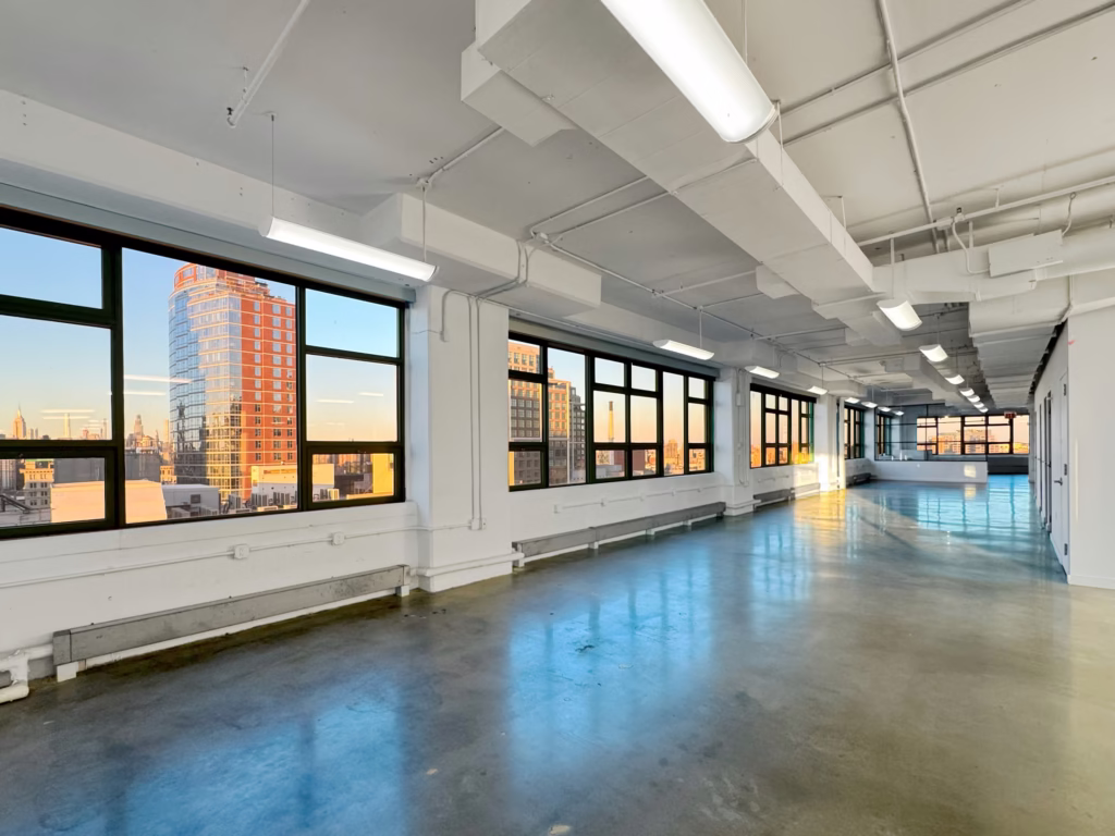 Dumbo Heights