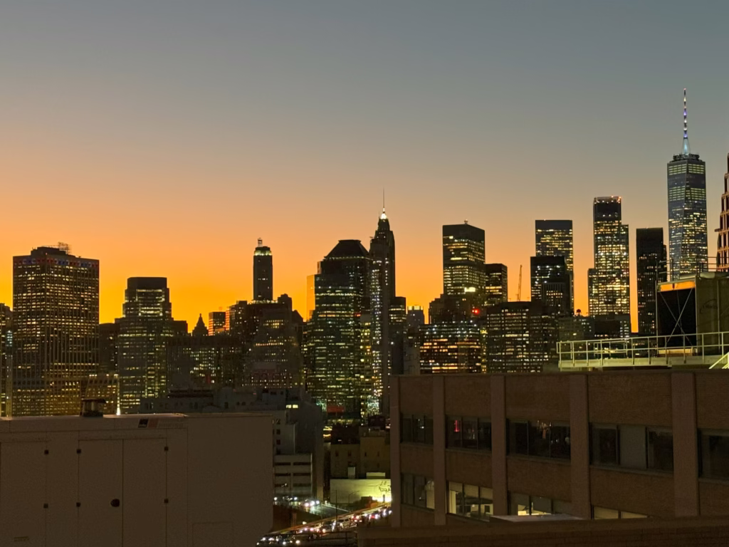 Dumbo Heights