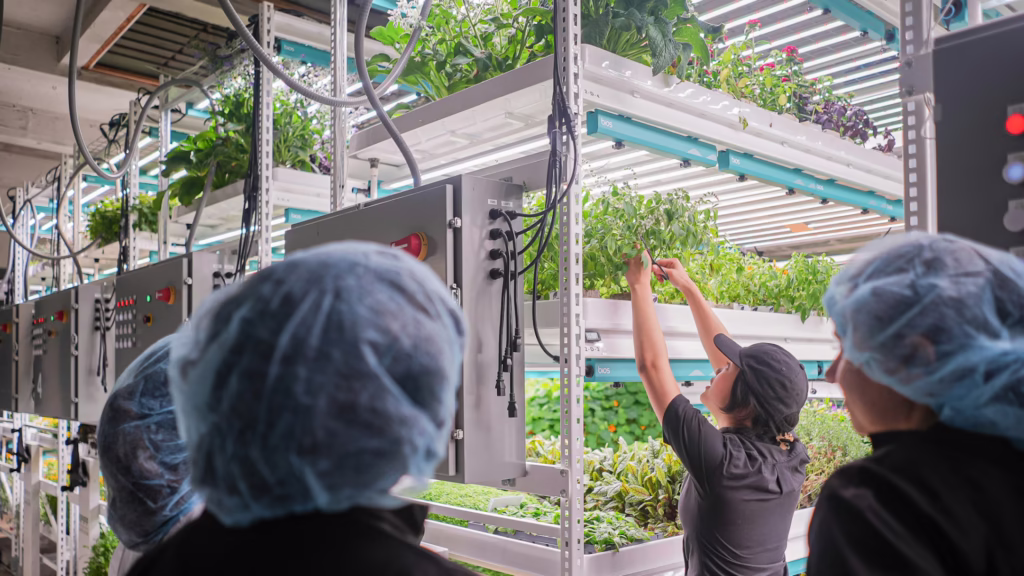 Farm.One Prospect Heights