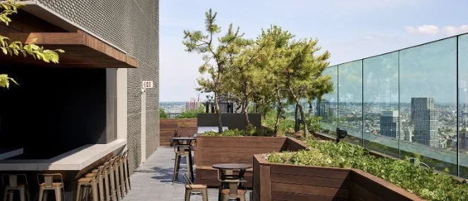 Rooftop - Image 3