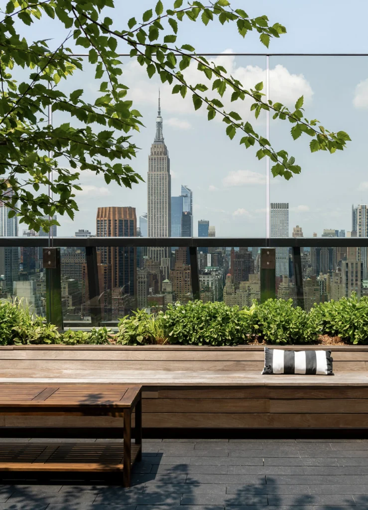 Rooftop - Image 7